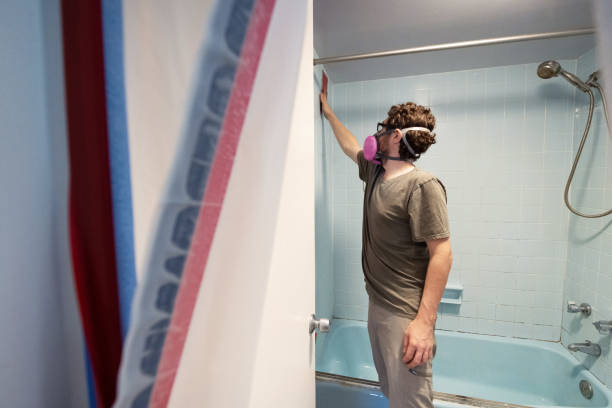 Best Mold Prevention Services  in Greybull, WY