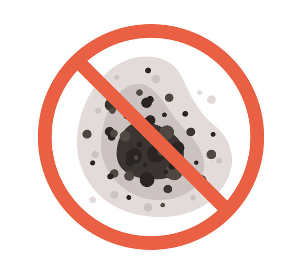 Best Mold Removal for HVAC Installations  in Greybull, WY