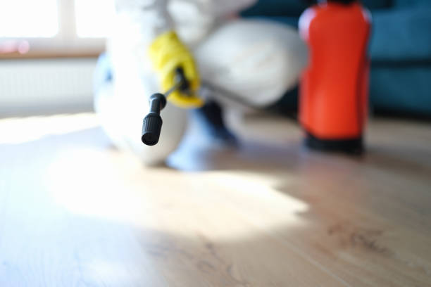 Best Commercial Mold Inspection  in Greybull, WY