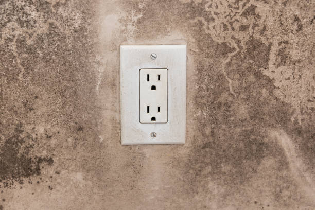 Best Asbestos and Lead Testing During Mold Inspection  in Greybull, WY