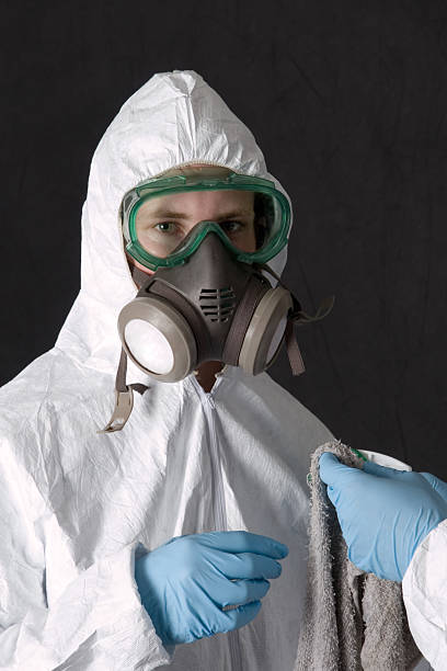Best Residential Mold Inspection & Testing  in Greybull, WY